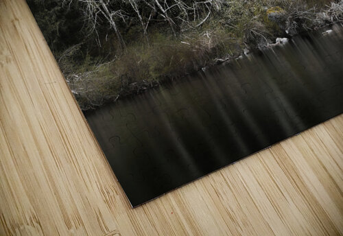 Sooke River Mark Schacter puzzle