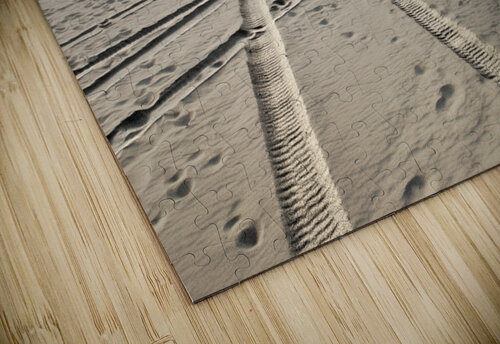 Lifeguard Station 2 Mark Schacter puzzle