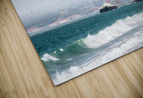 San Francisco Mark Schacter puzzle