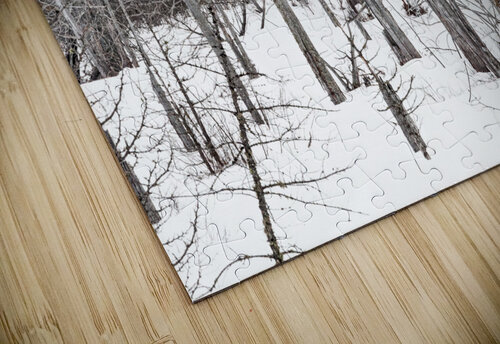 Winter Scene Mark Schacter puzzle