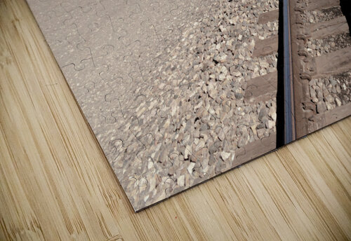 Two Tracks Mark Schacter puzzle