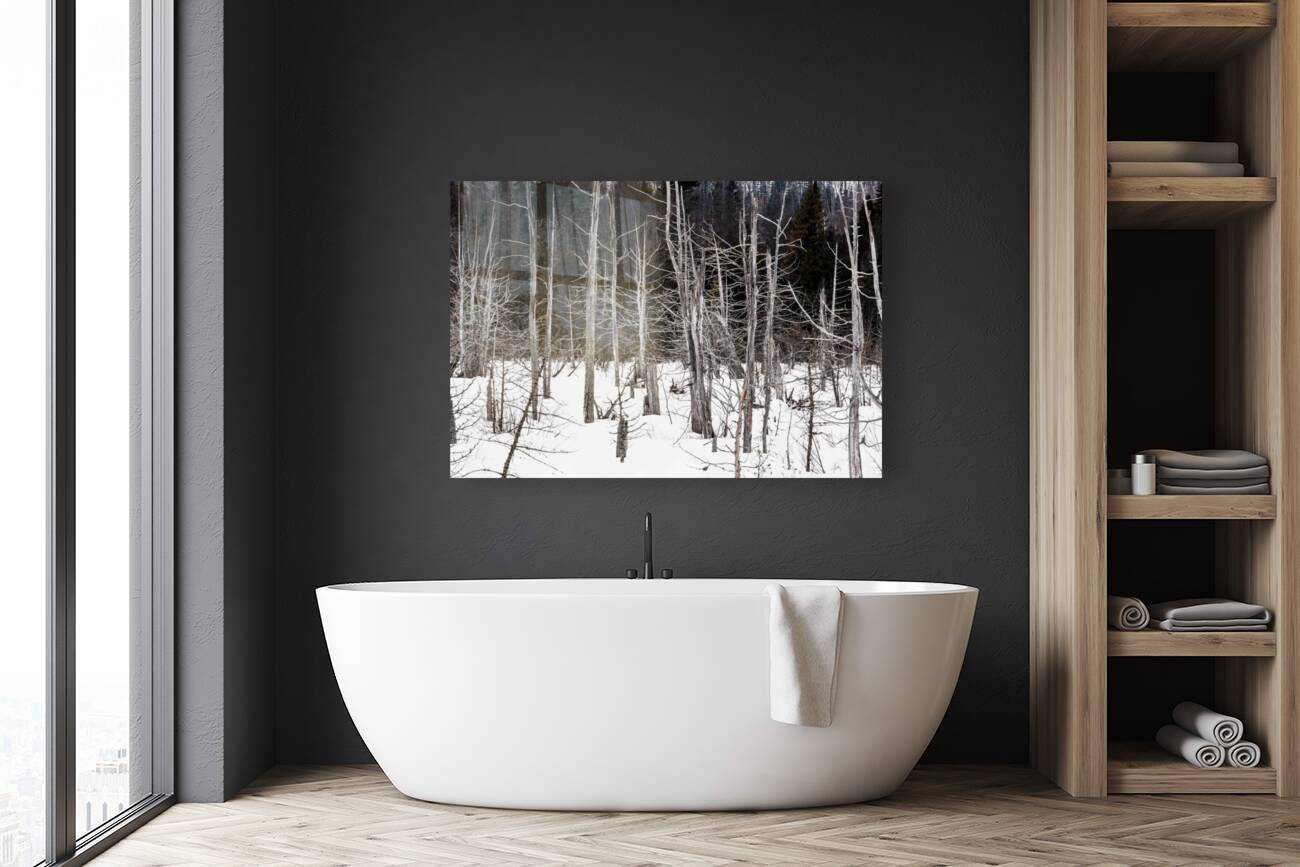 Winter Scene Reproduction