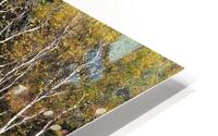 Autumn Landscape 3 HD Metal print