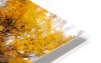 Autumn Landscape 2 HD Metal print
