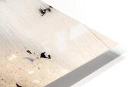 Shorebirds HD Metal print