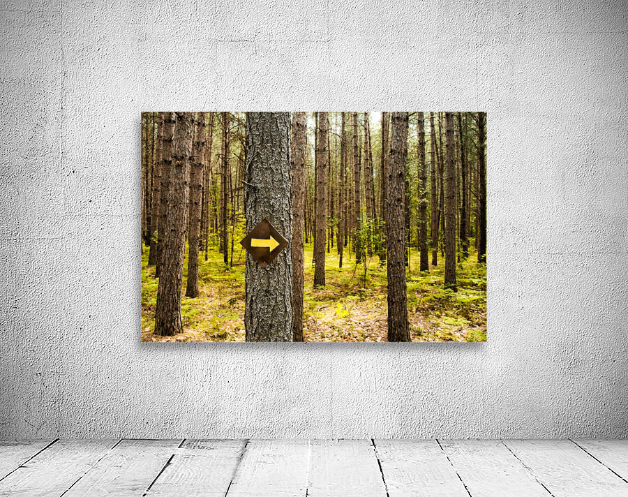 This Way Wall Preview