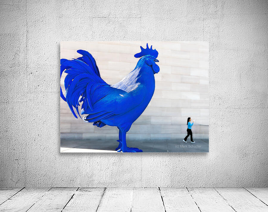 Blue Rooster Wall Preview