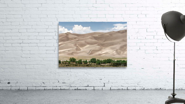 Dunes 2 Wall Preview