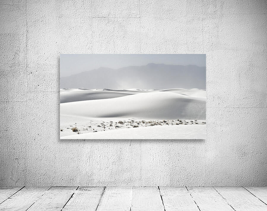 Dunes 3 Wall Preview