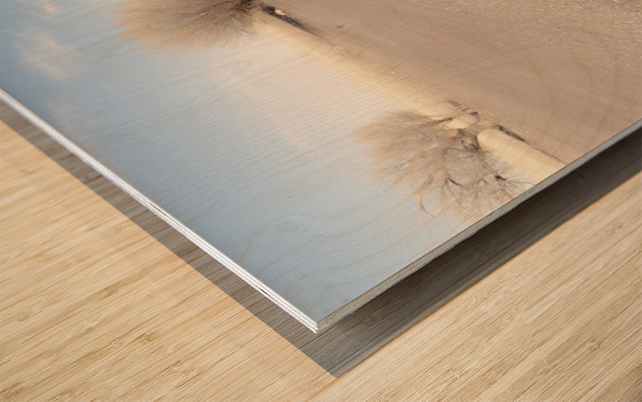 Two Tracks Wood print