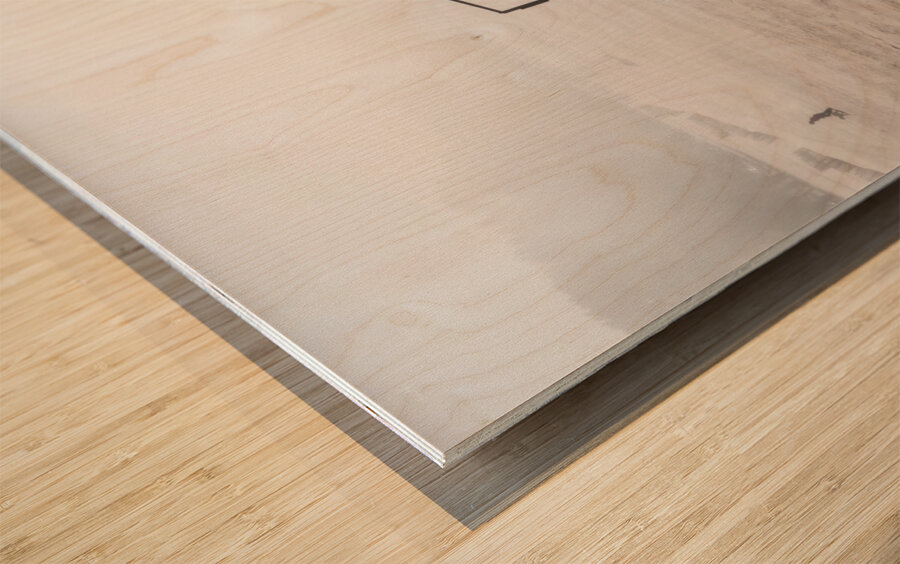 Lifeguard Station 1 Wood print