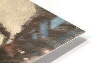 Cice Rivera HD Metal print