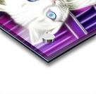 White Kitten Acrylic print