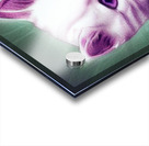 Purple Kitten Acrylic print