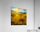 Warm Coast Acrylic Print