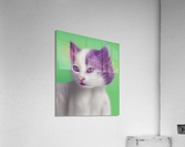 Purple Cat Acrylic Print