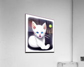 Celestial Cat Acrylic Print