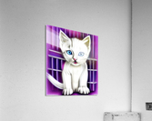 White Kitten Acrylic Print