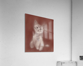 Scholarly Cat Acrylic Print