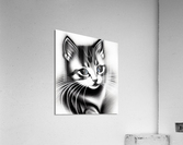 Kitten Stare Acrylic Print