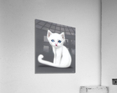 White Kitten Acrylic Print