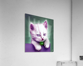 Purple Kitten Acrylic Print