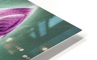 Purple Kitten HD Metal print