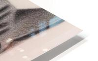 Cat Selfie HD Metal print