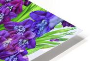 Violet Tones Monochromatic HD Metal print