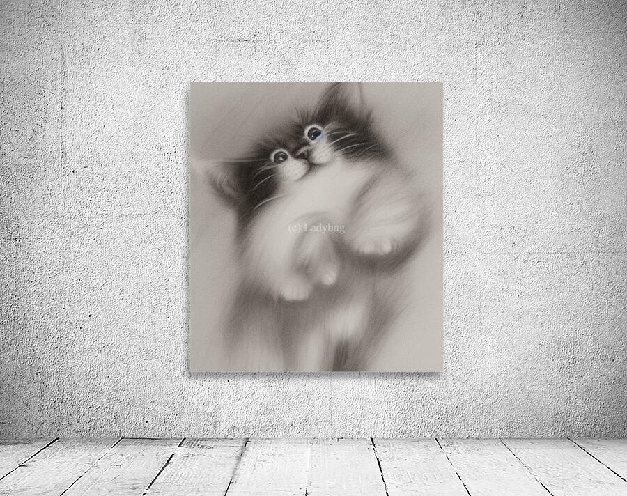 Playful cat Wall Preview