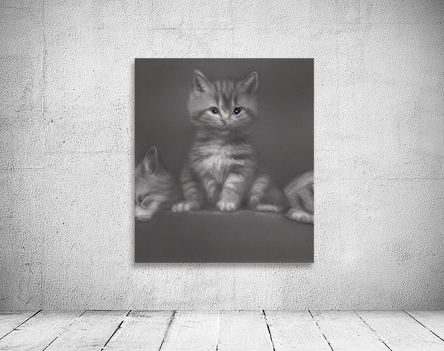 Royal Kitten Wall Preview