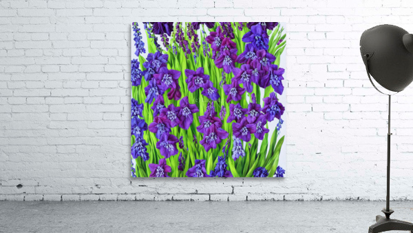 Violet Tones Monochromatic Wall Preview