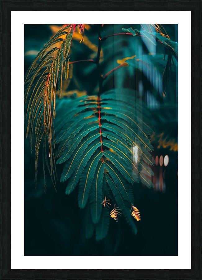 dark green leaves leaf Picture Frame print