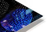 raspberry one edge HD Metal print