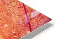 Leaves Patterns colorful leaf pattern HD Metal print