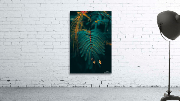 dark green leaves leaf Wall Preview