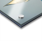 20220311 IMG 2593 Enhanced NR Acrylic print