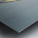 20220311 IMG 2593 Enhanced NR Metal print