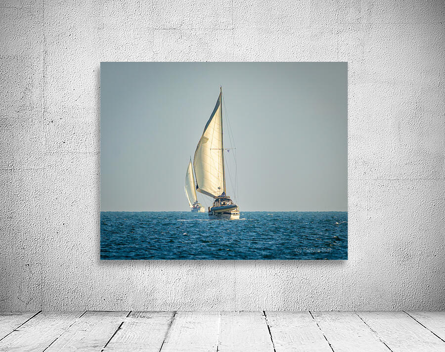 20220311 IMG 2593 Enhanced NR Wall Preview