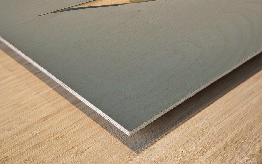 20220311 IMG 2593 Enhanced NR Wood print