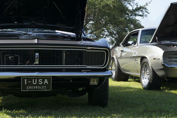 Car Show Camaros Digital Download