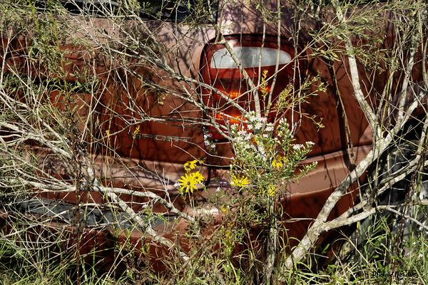 A Beautiful Bouquet Digital Download