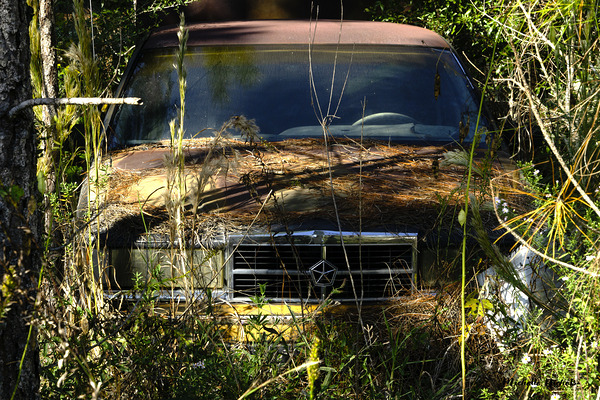 Forgotten Téléchargement Numérique