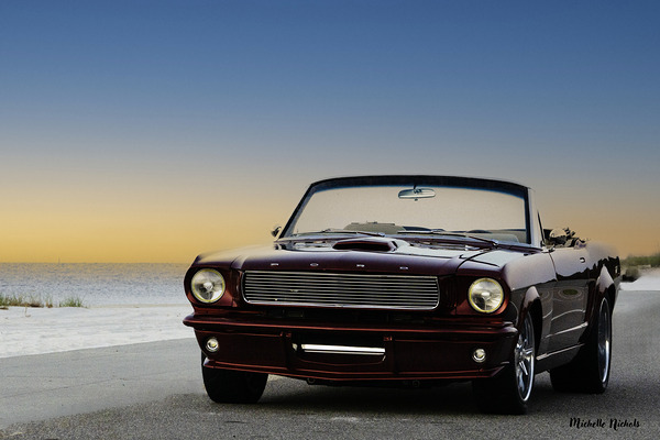 Thelma On The Beach Téléchargement Numérique