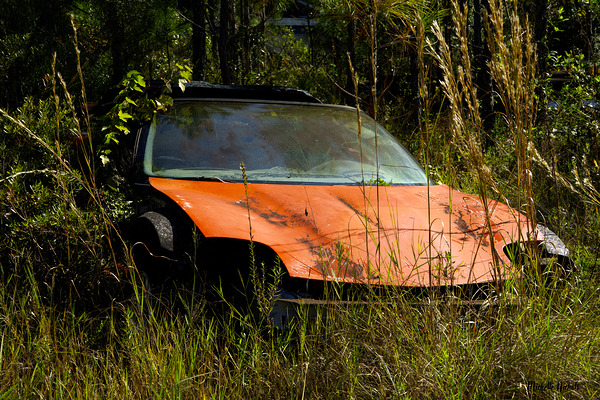 Where Is My Car Digital Download