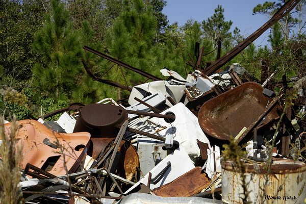 Junk Yard Gold Digital Download