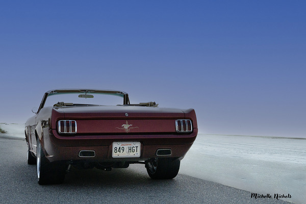 Thelma 2 Digital Download