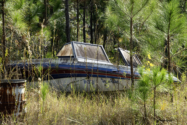 Sugar Babe Digital Download