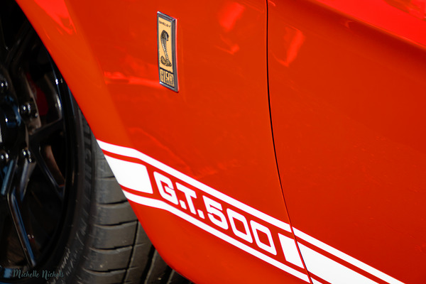 GT 500 Digital Download