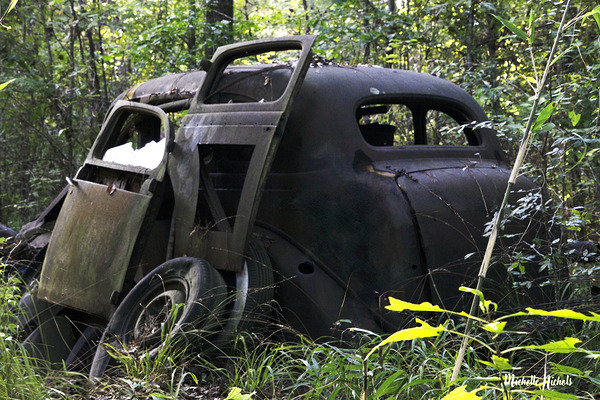 Jane and Dan s Treasure Digital Download